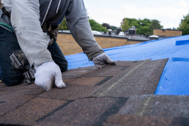 Quick and Trustworthy Emergency Roof Repair Services in Hillsboro, WI