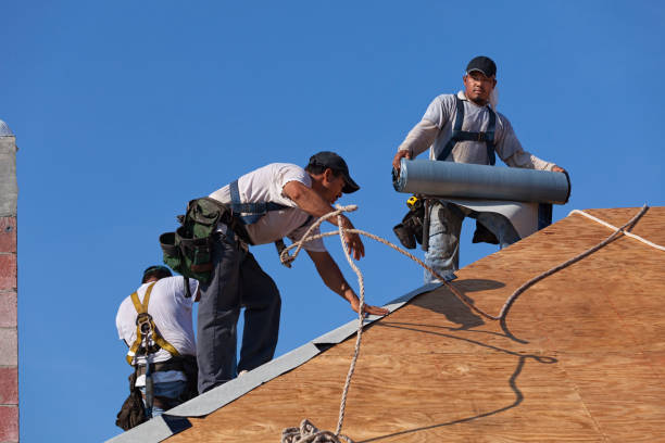 Best New Roof Installation  in Hillsboro, WI
